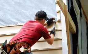 Shed Removal in Kankakee, IL